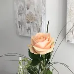Sylter-rose-suedterrasse-mit-strandkorb Appartamento *