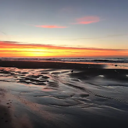 Appartement Sylter-rose-suedterrasse-mit-strandkorb Westerland