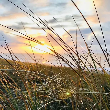 Sylter-rose-suedterrasse-mit-strandkorb Appartement