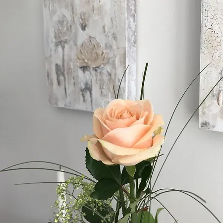 Sylter-rose-suedterrasse-mit-strandkorb Appartement *