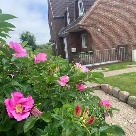 Sylter-rose-suedterrasse-mit-strandkorb *