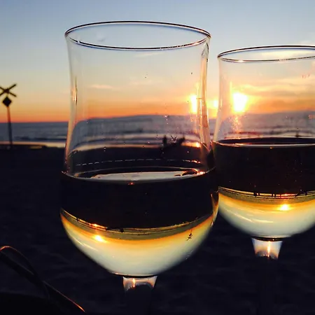 Sylter-rose-suedterrasse-mit-strandkorb *