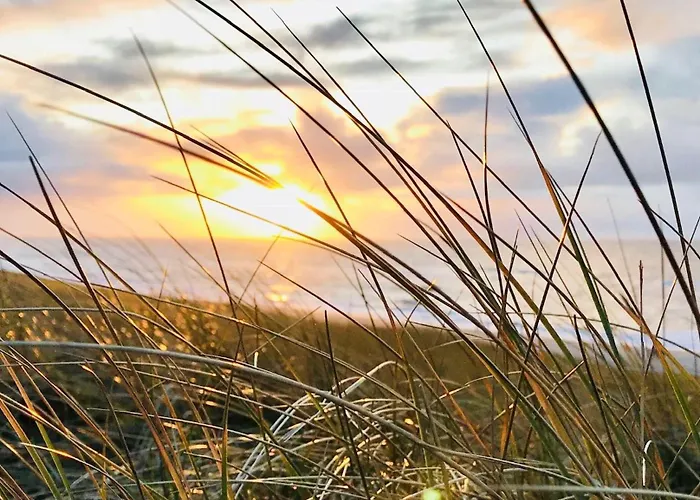 Sylter-rose-suedterrasse-mit-strandkorb Appartamento